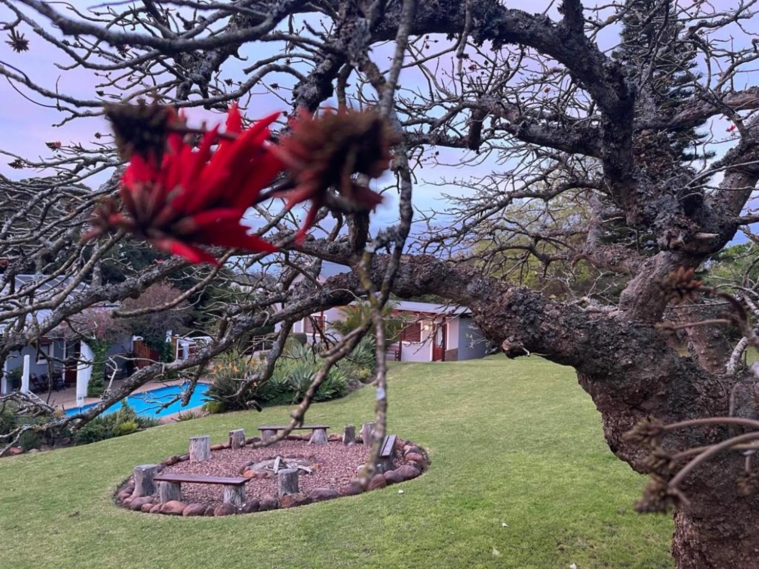 Marula Lodge Swellendam Bagian luar foto