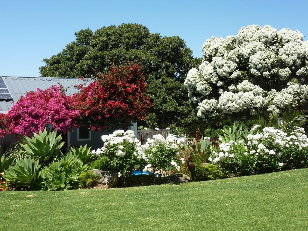 Marula Lodge Swellendam Bagian luar foto