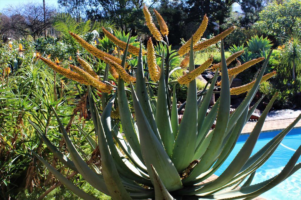 Marula Lodge Swellendam Bagian luar foto
