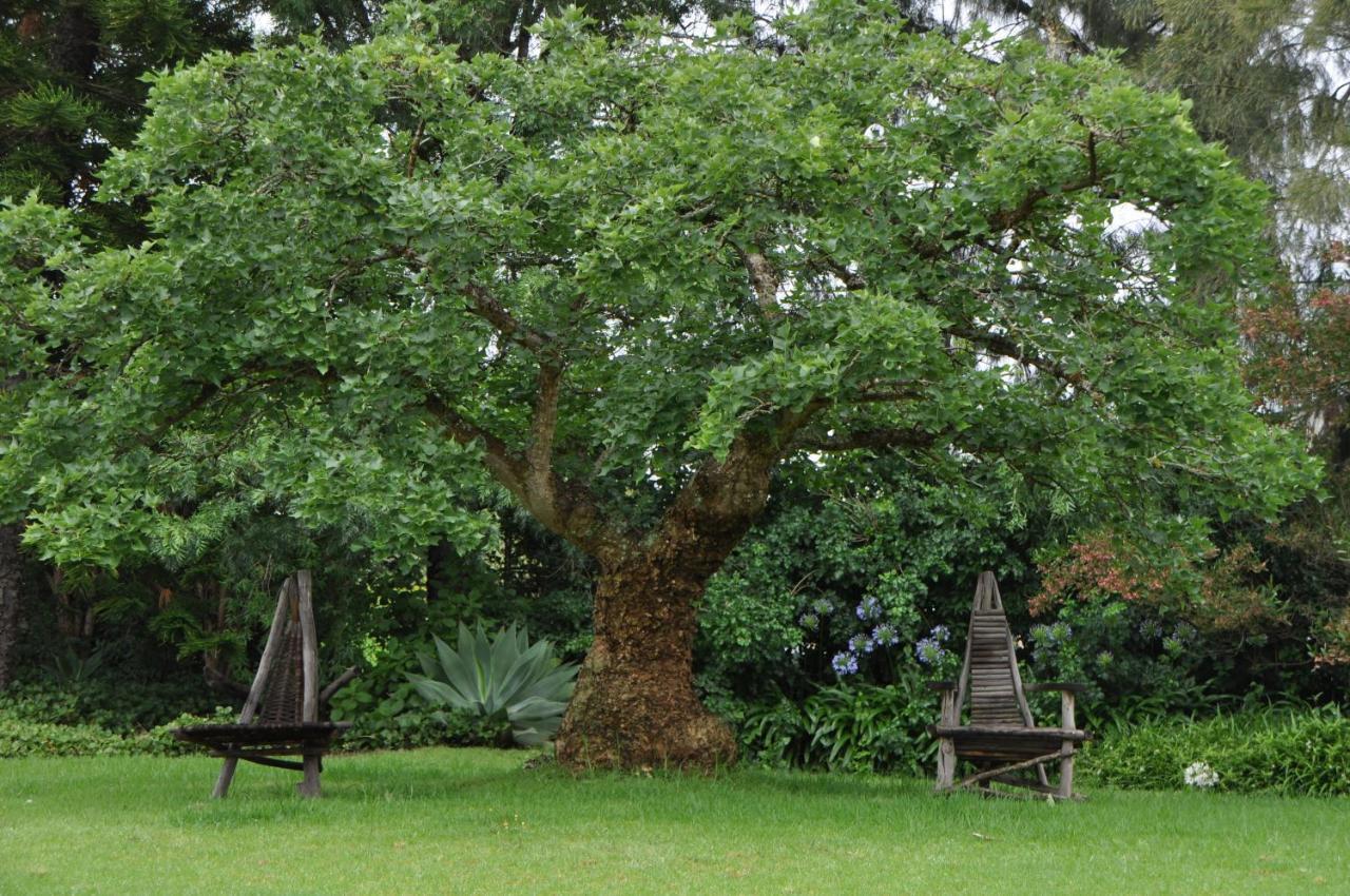 Marula Lodge Swellendam Bagian luar foto